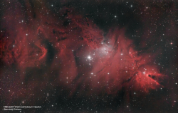 NGC 2264 Weihnachtsbaumhaufen